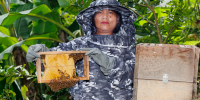 Bee Keeping Khawbung