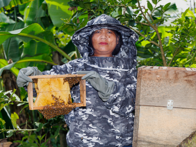 Bee Keeping Khawbung