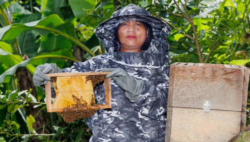 Bee Keeping Khawbung