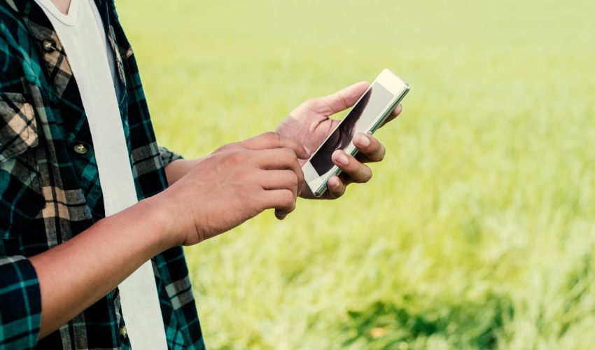 Close-up of man hands using his smartphone outdoor in the park.