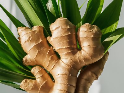 photo-fresh-ginger-root-with-its-vibrant-green-leaves